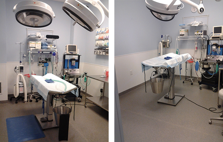 Ever-Ready Maintenance Medical Facility Cleaning